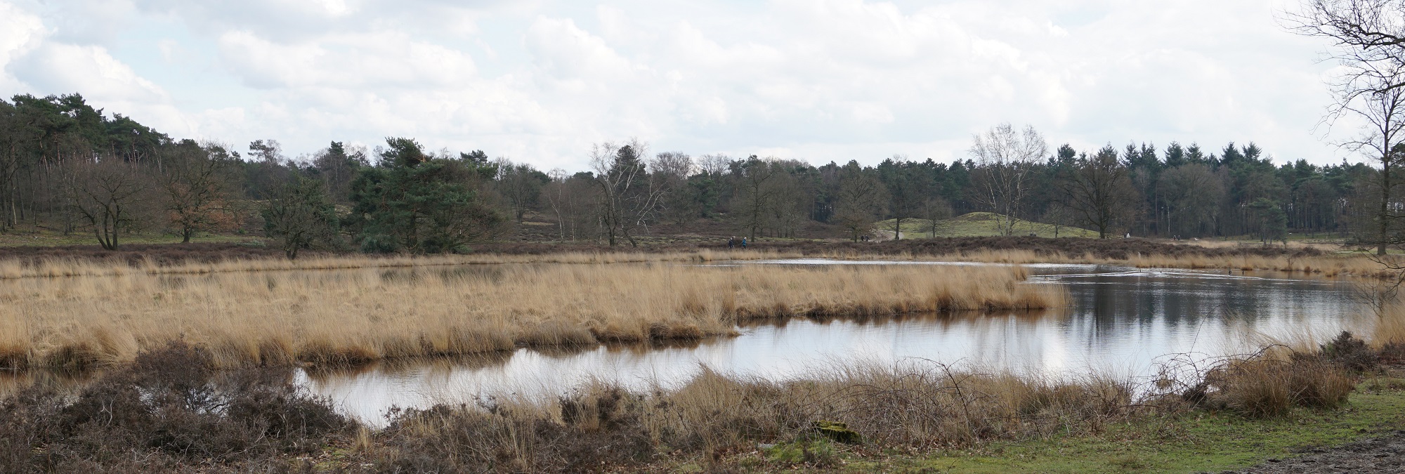 Overasseltse en Hatertse Vennen